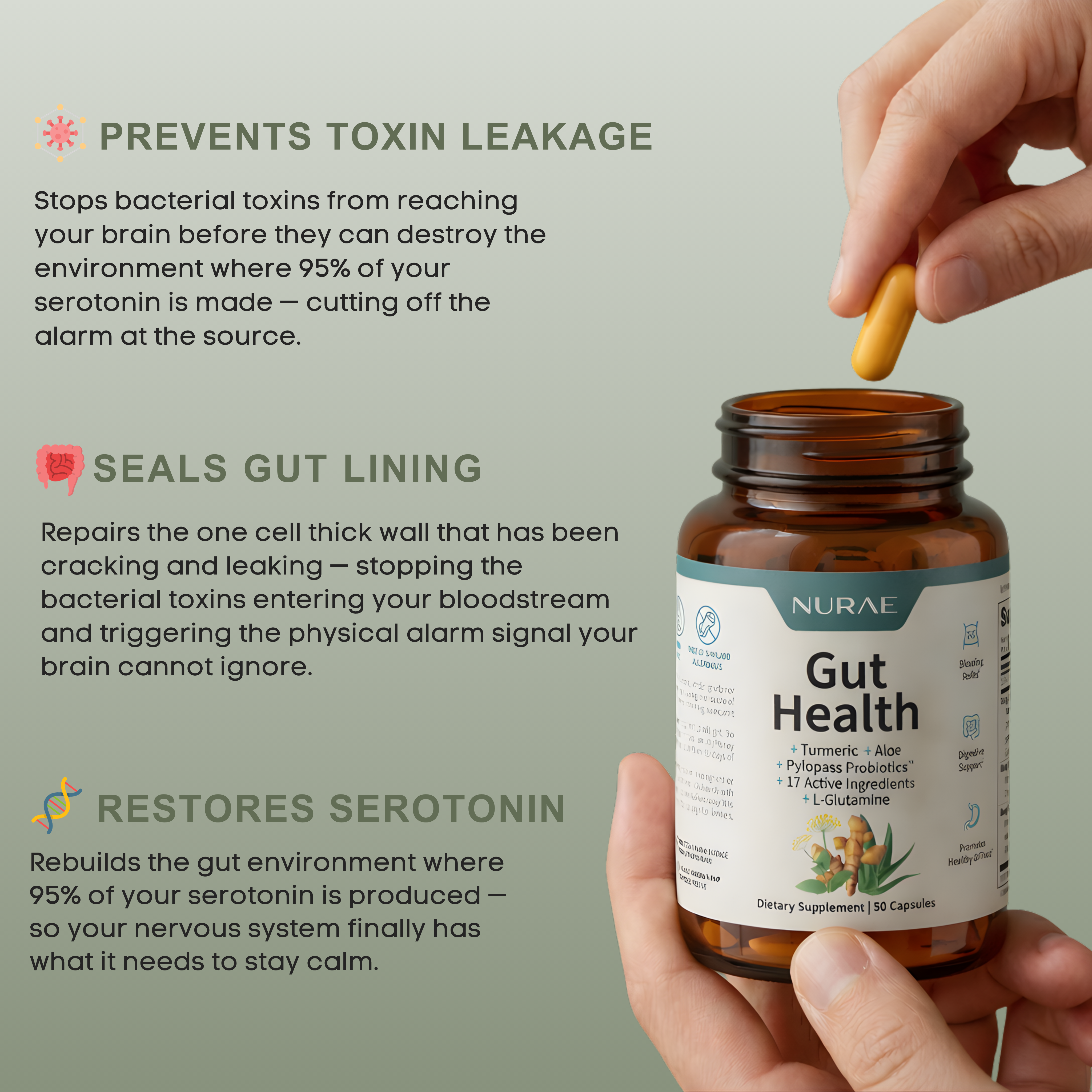 GutFlush - Daily Detox & Digest